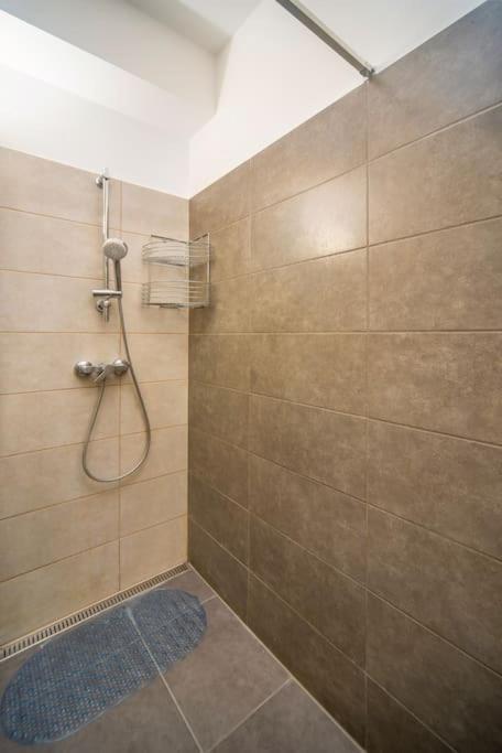 Grace Pine Apartment 1 ブダペスト エクステリア 写真